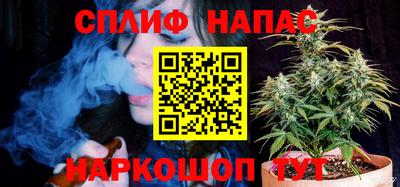 дмт Моздок
